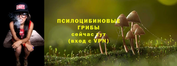 spice Магас