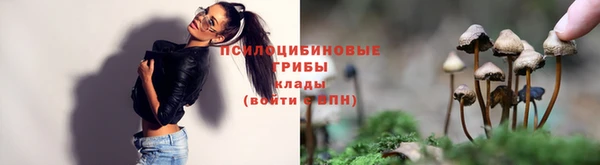 скорость Майский