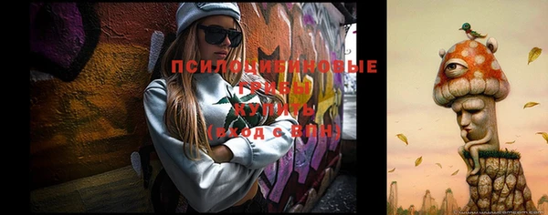 spice Магас