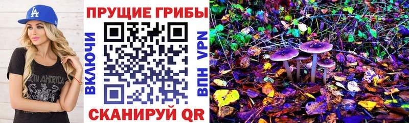 Галлюциногенные грибы Psilocybine cubensis  Купить  Михайлов 